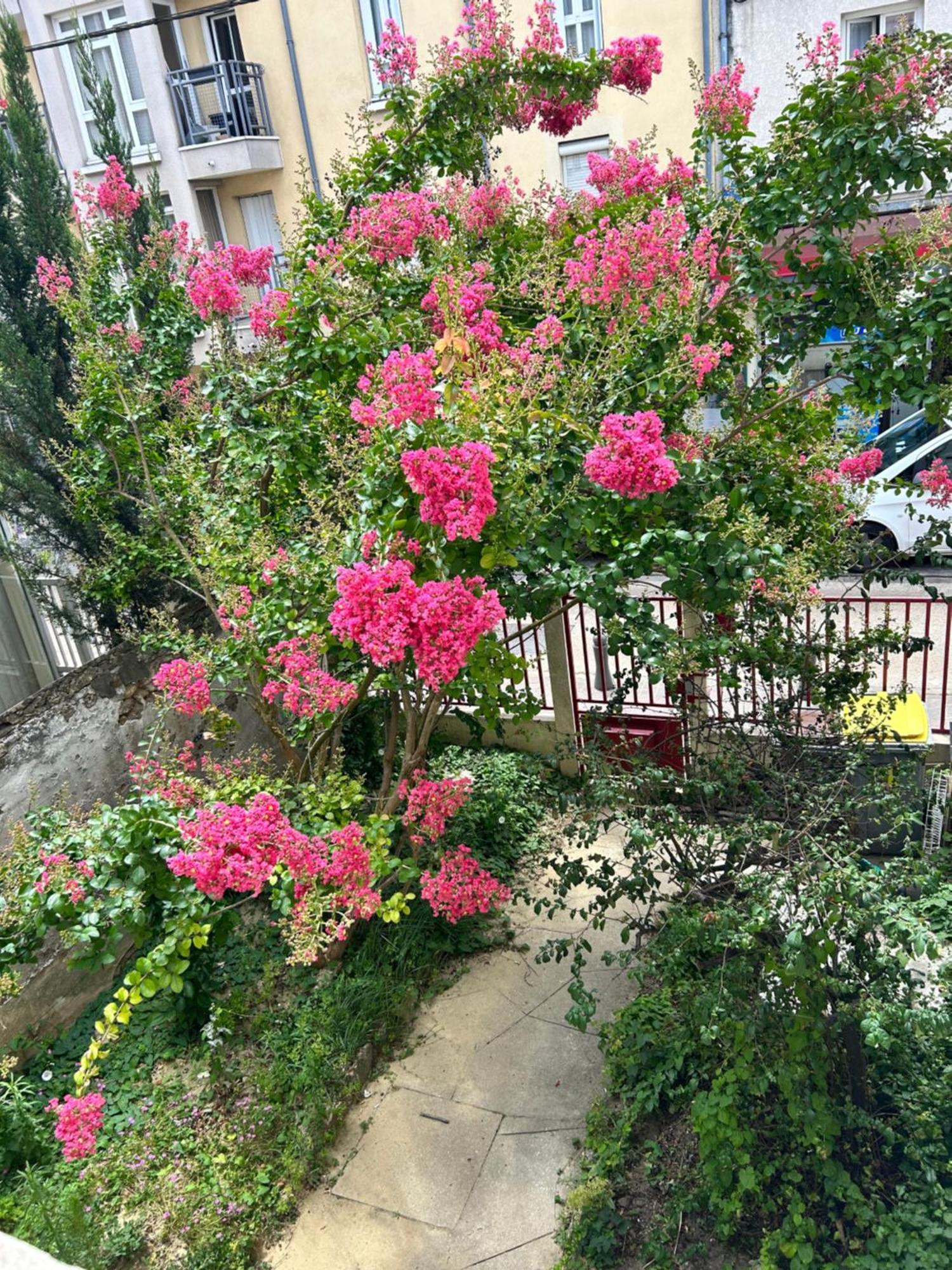 F3 Au Grenier D'Une Maison Massy  Dış mekan fotoğraf
