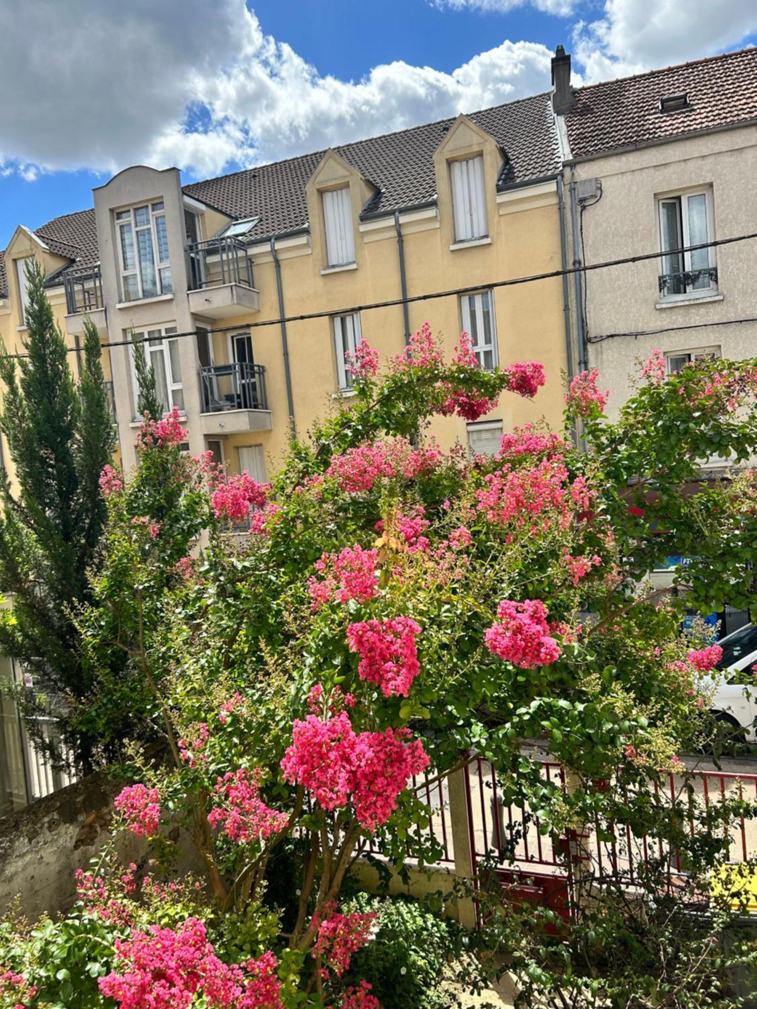 F3 Au Grenier D'Une Maison Massy  Dış mekan fotoğraf